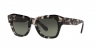 RB2186 State Street Sunglasses