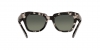 RB2186 State Street Sunglasses