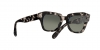 RB2186 State Street Sunglasses