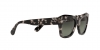 RB2186 State Street Sunglasses