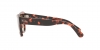RB2186 State Street Sunglasses