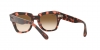 RB2186 State Street Sunglasses