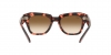 RB2186 State Street Sunglasses