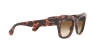 RB2186 State Street Sunglasses