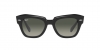 RB2186 State Street Sunglasses