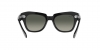RB2186 State Street Sunglasses