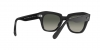 RB2186 State Street Sunglasses