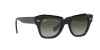 RB2186 State Street Sunglasses