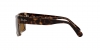 RB2191 Inverness Sunglasses