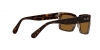 RB2191 Inverness Sunglasses