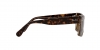 RB2191 Inverness Sunglasses
