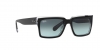 RB2191 Inverness Sunglasses