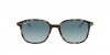 RB2193 Leonard Sunglasses