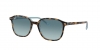 RB2193 Leonard Sunglasses