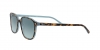 RB2193 Leonard Sunglasses