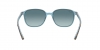 RB2193 Leonard Sunglasses