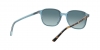 RB2193 Leonard Sunglasses