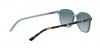 RB2193 Leonard Sunglasses