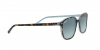 RB2193 Leonard Sunglasses