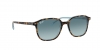 RB2193 Leonard Sunglasses