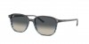 RB2193 Leonard Sunglasses