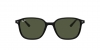 RB2193 Leonard Sunglasses