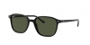 RB2193 Leonard Sunglasses