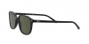 RB2193 Leonard Sunglasses
