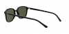 RB2193 Leonard Sunglasses