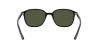 RB2193 Leonard Sunglasses