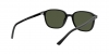 RB2193 Leonard Sunglasses