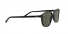 RB2193 Leonard Sunglasses