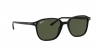 RB2193 Leonard Sunglasses