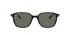 RB2193 Leonard Sunglasses
