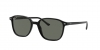 RB2193 Leonard Sunglasses