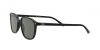 RB2193 Leonard Sunglasses