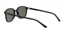 RB2193 Leonard Sunglasses
