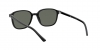 RB2193 Leonard Sunglasses