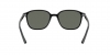 RB2193 Leonard Sunglasses