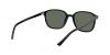 RB2193 Leonard Sunglasses