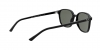 RB2193 Leonard Sunglasses