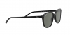 RB2193 Leonard Sunglasses