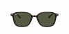 RB2193 Leonard Sunglasses