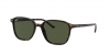 RB2193 Leonard Sunglasses