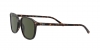 RB2193 Leonard Sunglasses