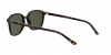 RB2193 Leonard Sunglasses