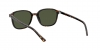 RB2193 Leonard Sunglasses