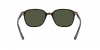 RB2193 Leonard Sunglasses