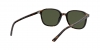 RB2193 Leonard Sunglasses