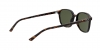RB2193 Leonard Sunglasses